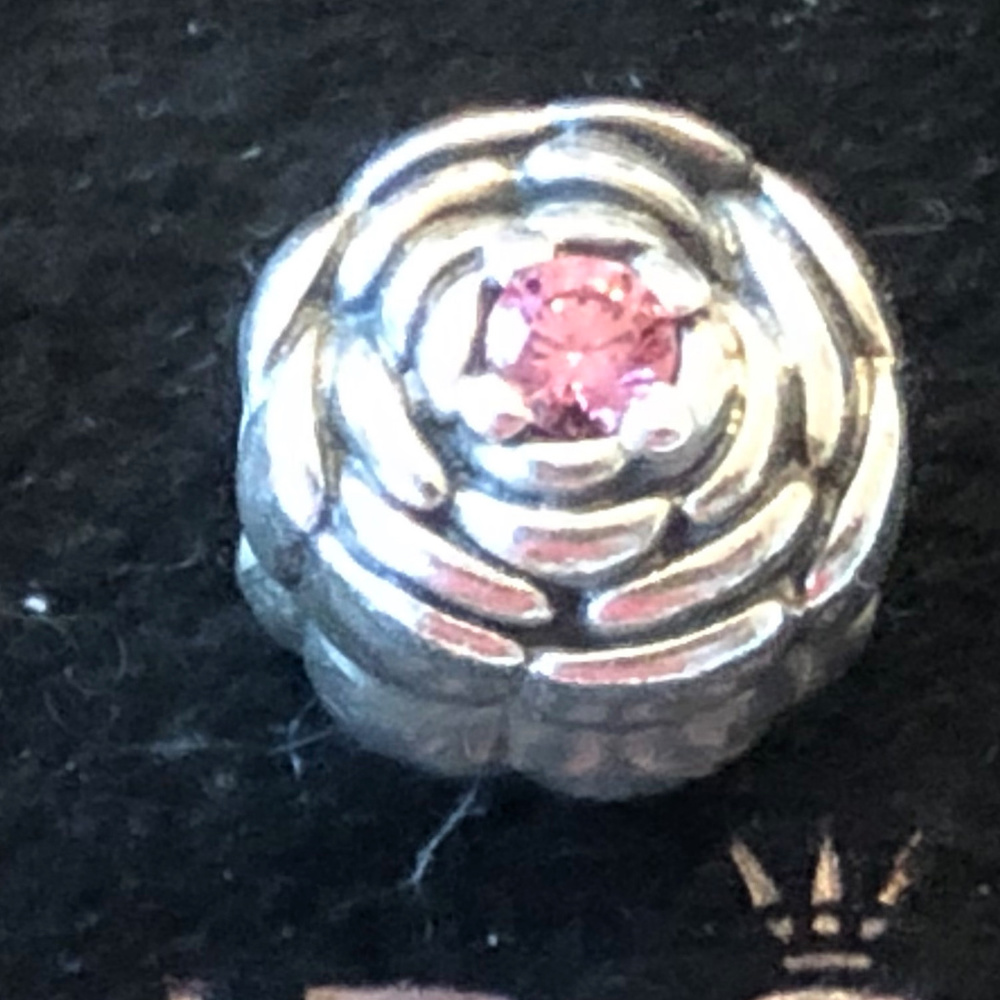 Pandora Blooming Rose Charm